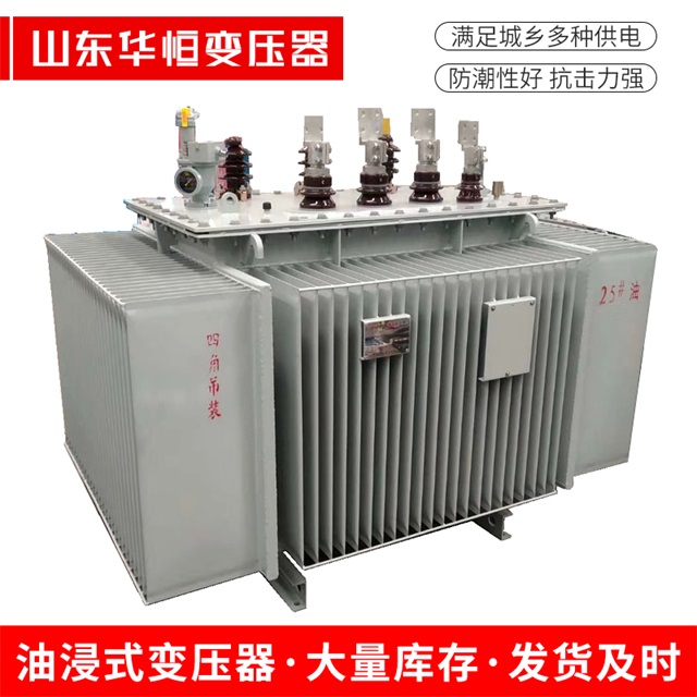 S13-10000/35新密新密新密电力变压器厂家