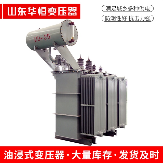 S11-10000/35新密新密新密电力变压器厂家