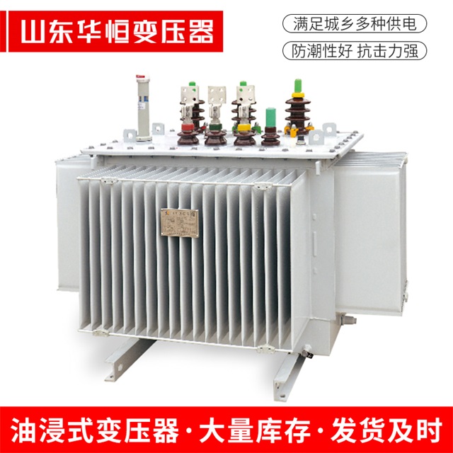 S13-10000/35新密新密新密电力变压器