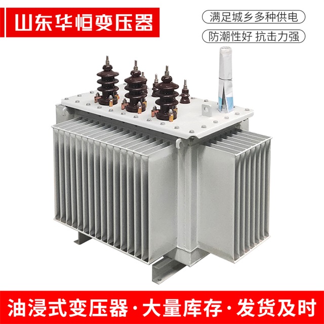 S13-10000/35新密新密新密油浸式变压器厂家
